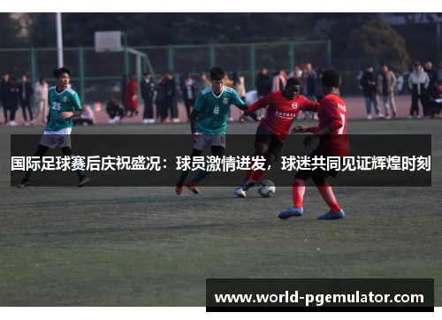 国际足球赛后庆祝盛况：球员激情迸发，球迷共同见证辉煌时刻