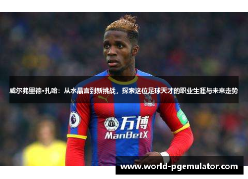 威尔弗里德·扎哈：从水晶宫到新挑战，探索这位足球天才的职业生涯与未来走势