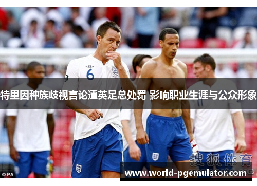 特里因种族歧视言论遭英足总处罚 影响职业生涯与公众形象