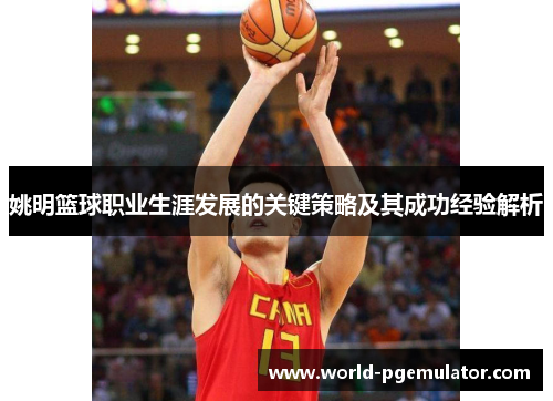 姚明篮球职业生涯发展的关键策略及其成功经验解析