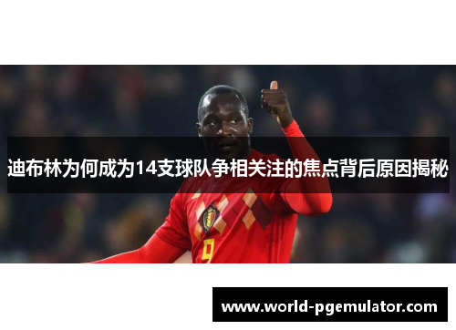 迪布林为何成为14支球队争相关注的焦点背后原因揭秘