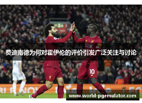 费迪南德为何对霍伊伦的评价引发广泛关注与讨论