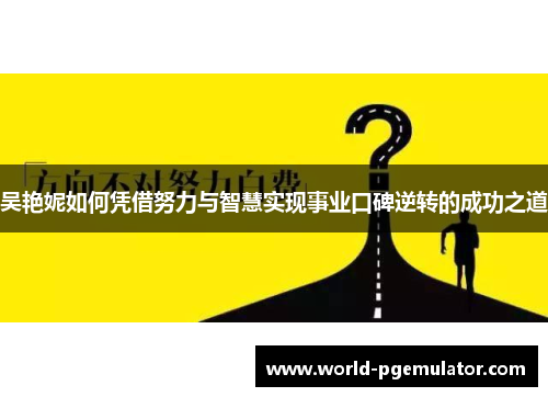 吴艳妮如何凭借努力与智慧实现事业口碑逆转的成功之道