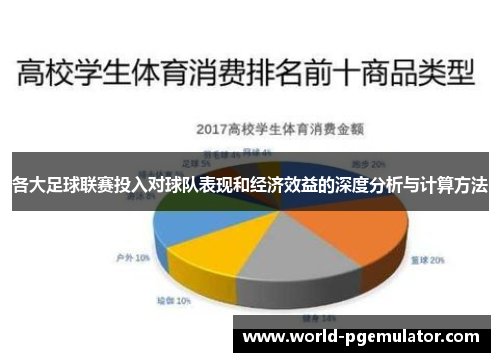 各大足球联赛投入对球队表现和经济效益的深度分析与计算方法 各大足球联赛投入对球队表现和经济效益的深度分析与计算方法