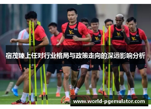 宿茂臻上任对行业格局与政策走向的深远影响分析