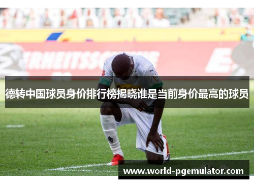 德转中国球员身价排行榜揭晓谁是当前身价最高的球员