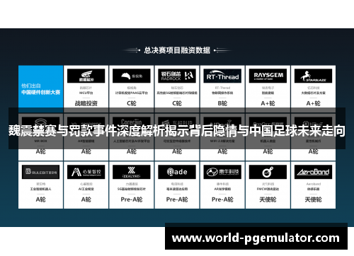 魏震禁赛与罚款事件深度解析揭示背后隐情与中国足球未来走向 魏震禁赛与罚款事件深度解析揭示背后隐情与中国足球未来走向