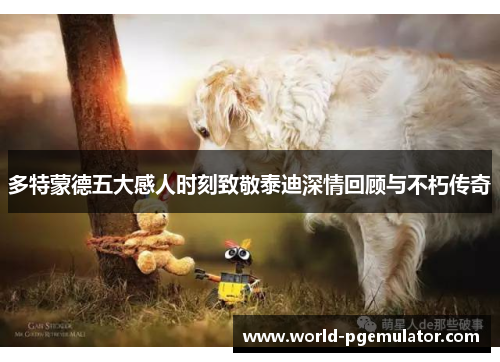 多特蒙德五大感人时刻致敬泰迪深情回顾与不朽传奇