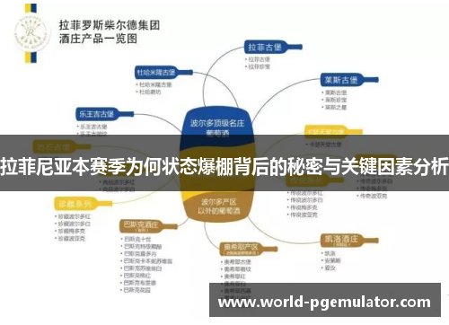 拉菲尼亚本赛季为何状态爆棚背后的秘密与关键因素分析